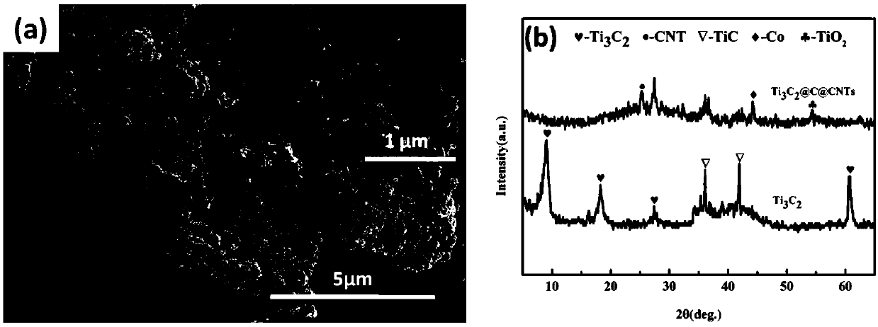 A carbon microsphere as a transition layer titanium carbide in-situ growth cnts three-dimensional composite material and its preparation method