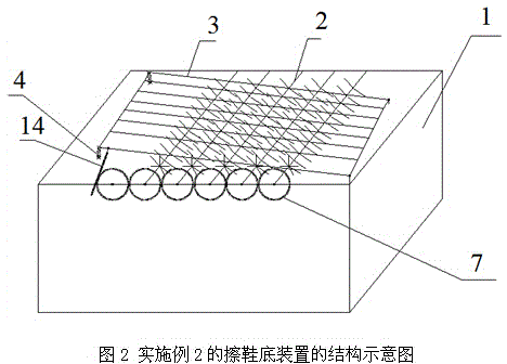 Shoe sole wiping device