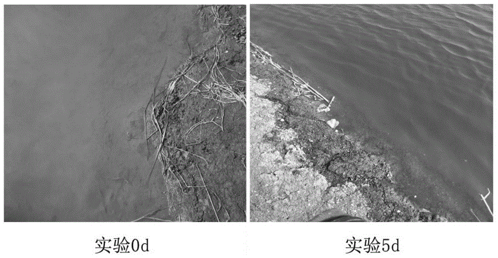 A kind of composite high-efficiency biological fish fertilizer for aquaculture and preparation method thereof