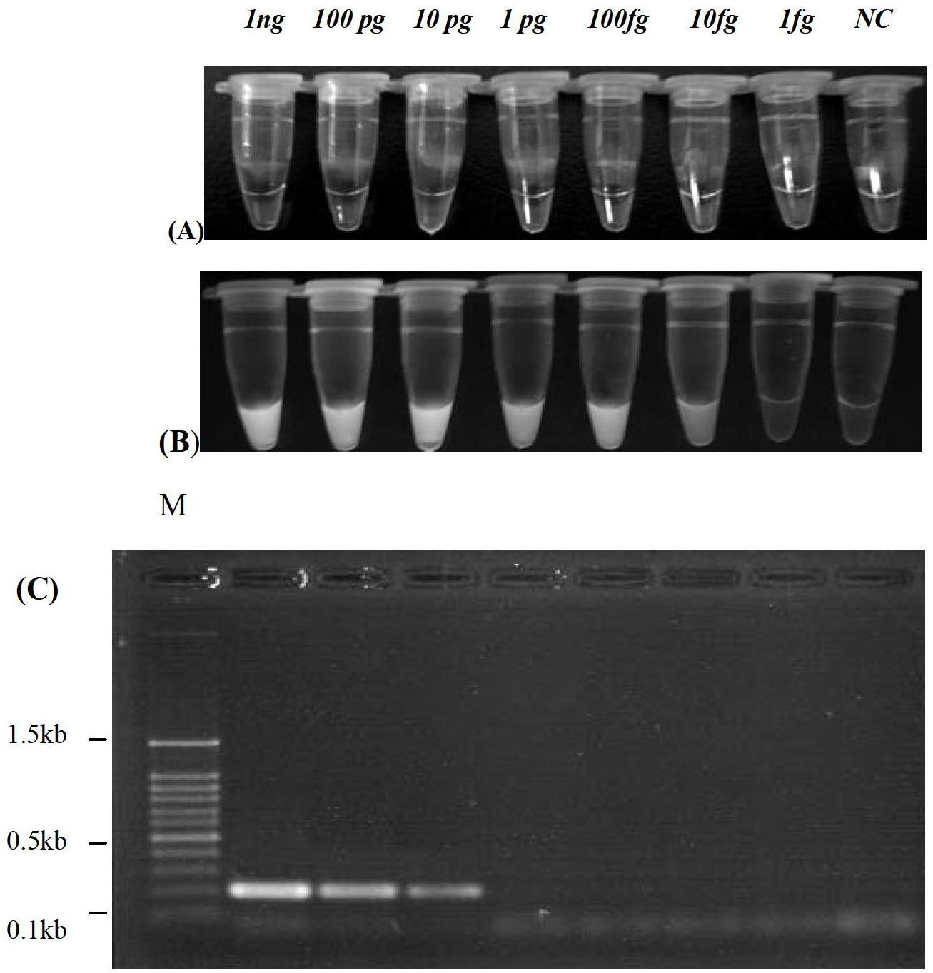 Reverse transcription-loop-mediated isothermal amplification (RT-LAMP) visual detection kit for H1N2 avian influenza viruses