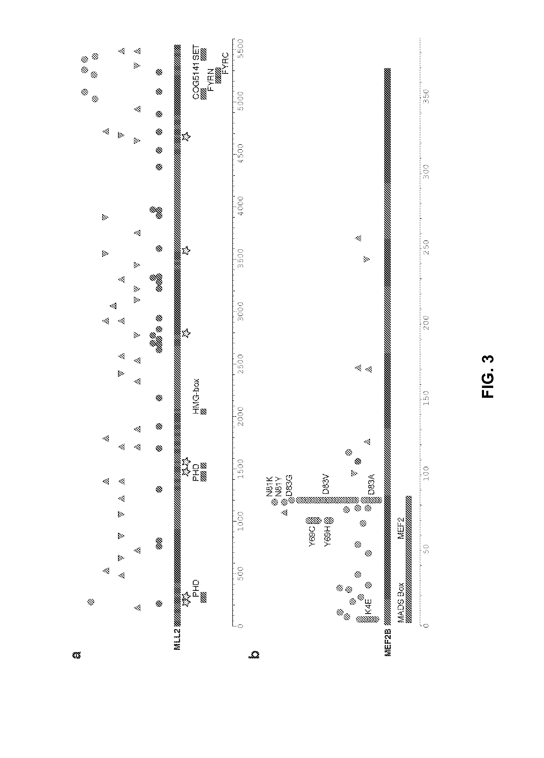 Biomarkers for Non-Hodgkin Lymphomas and Uses Thereof