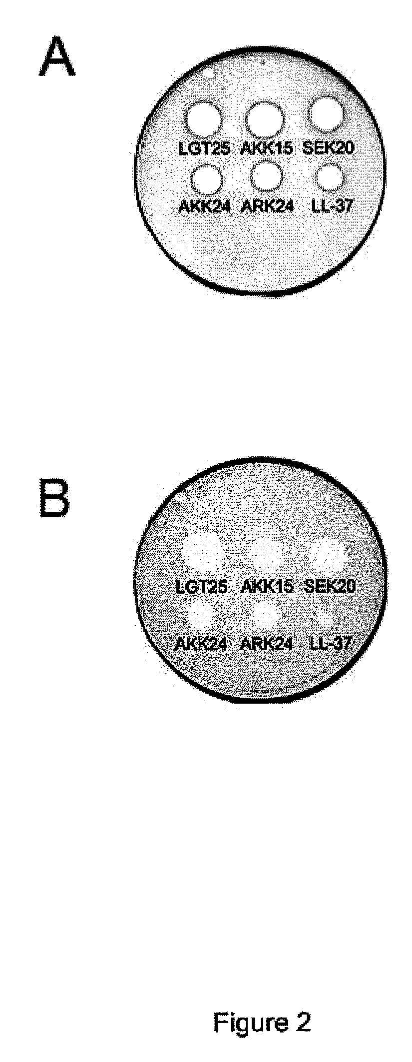 Antimicrobial peptides with heparin binding activity