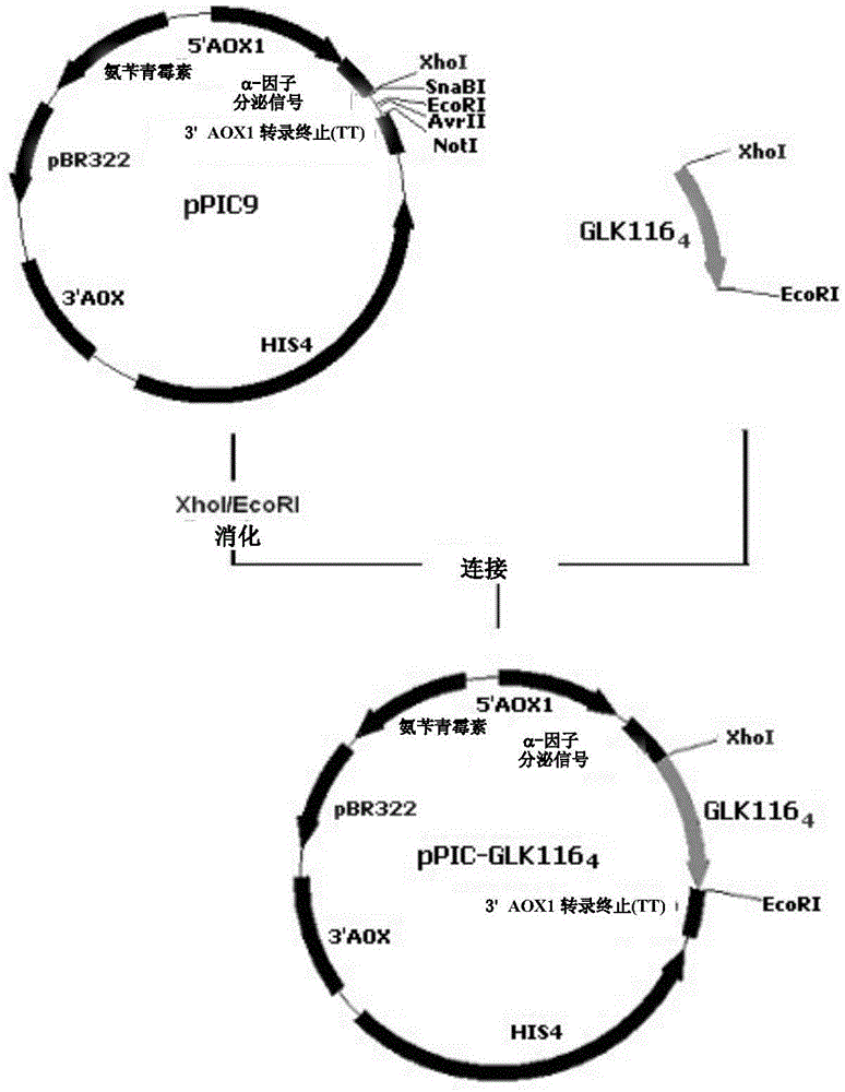 Use of gelatin-like units