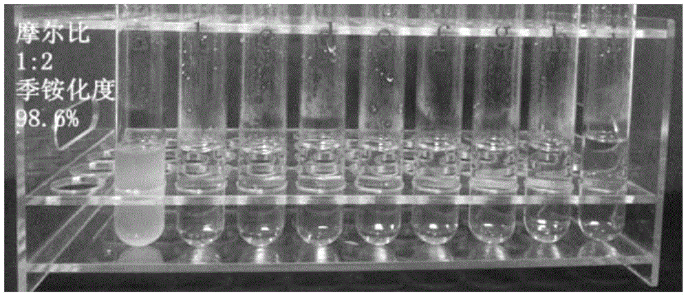 A structure-controllable brush-type multi-quaternary ammonium salt antibacterial agent and its preparation method