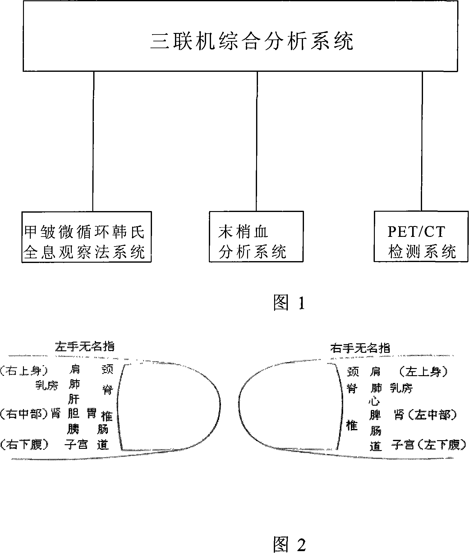 Early stage physical mutation forecasting system