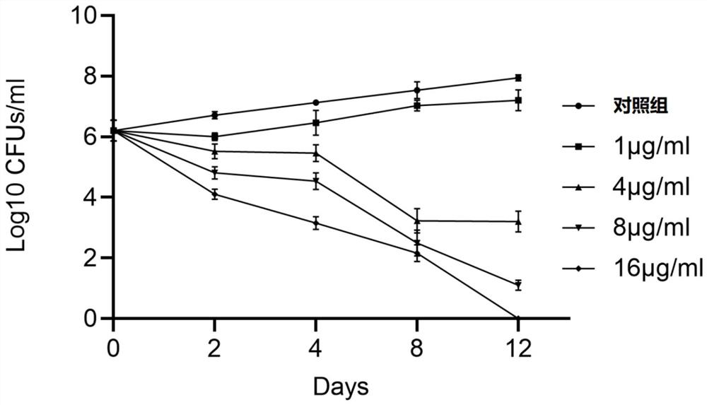 Application of derivative SKQ1 of plastoquinone in preparation of anti-mycobacterium tuberculosis drugs