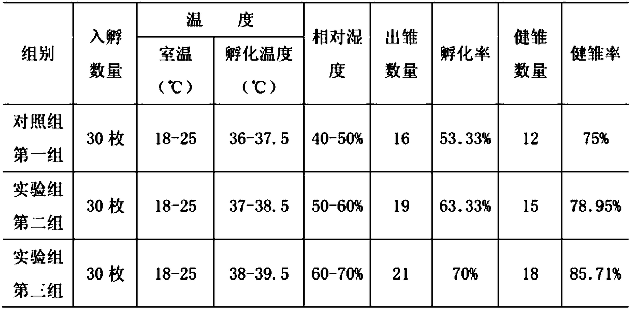 Artificial breeding method of blue horse chicken in high altitude environment