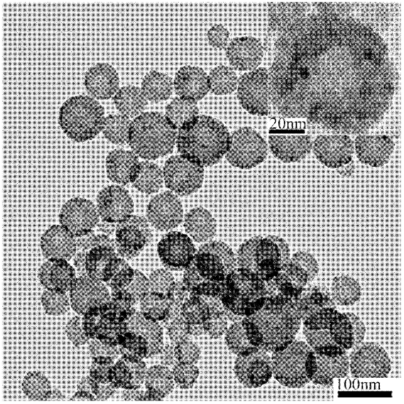 Method for preparing magnetic hollow cluster from ferroferric oxide nano crystals by one step