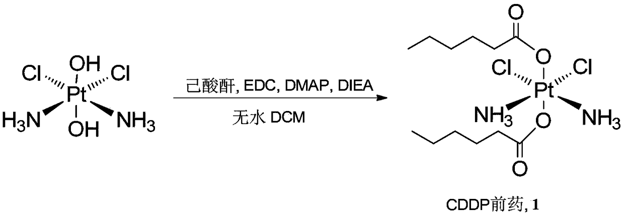 Cis-dammine dichloroplatinum prodrug, preparation method and application