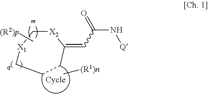 Heterocyclidene acetamide derivative