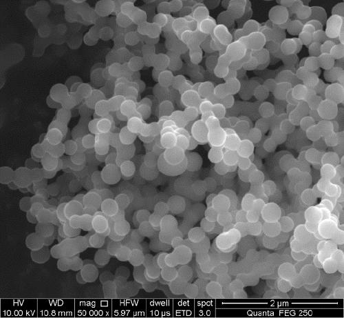 Highly graphitized boron-doped 'dumbbell-shaped' microporous and mesoporous carbon and preparation method thereof