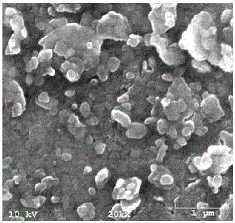 Method for preparing capsule-type paper-making filler by spray-drying starch