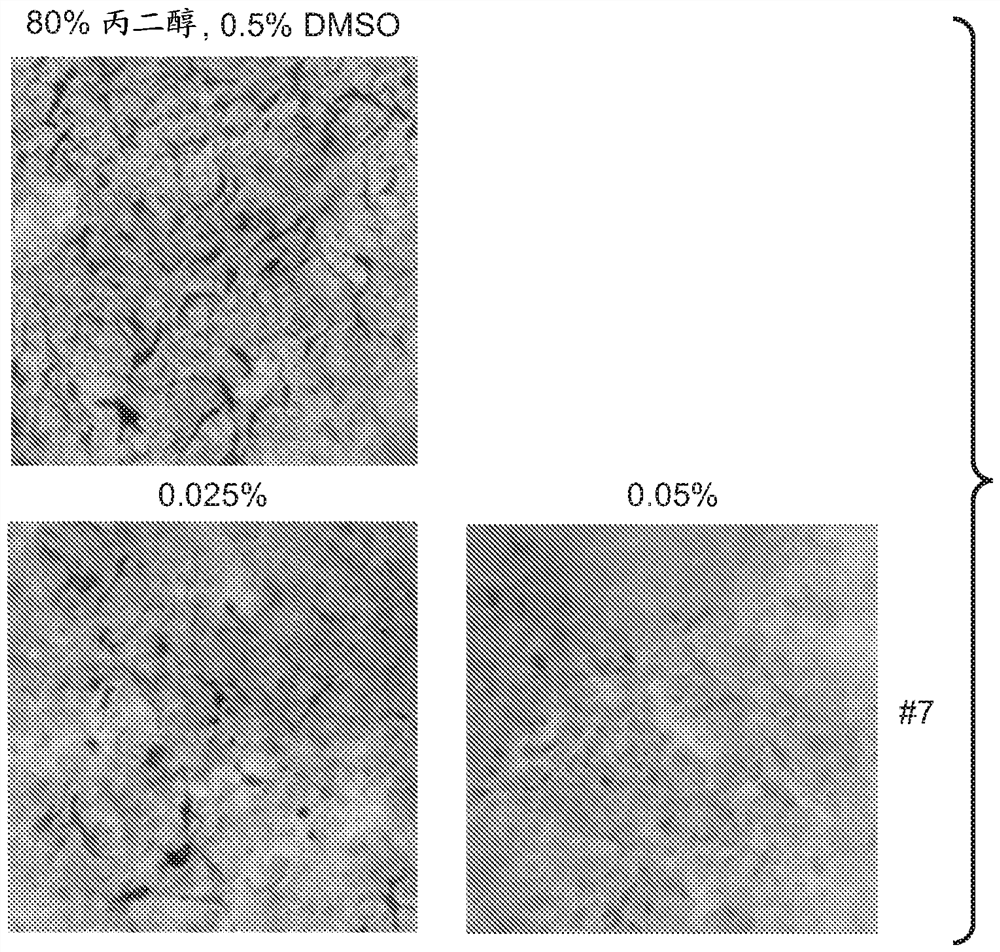 A series of compounds for treatment of skin diseases and other conditions