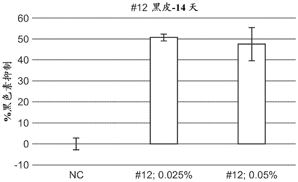 A series of compounds for treatment of skin diseases and other conditions