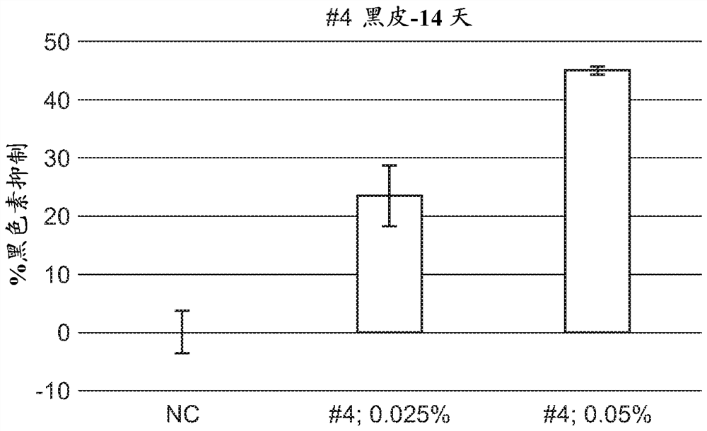 A series of compounds for treatment of skin diseases and other conditions