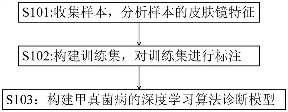 Construction method of onychomycosis diagnosis model, diagnosis model and diagnosis device