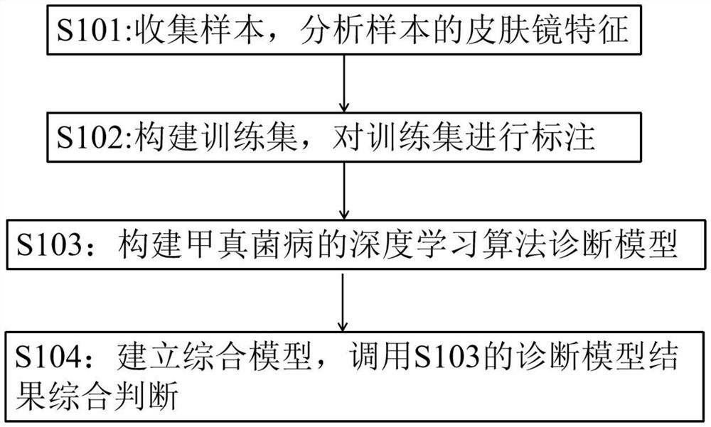 Construction method of onychomycosis diagnosis model, diagnosis model and diagnosis device