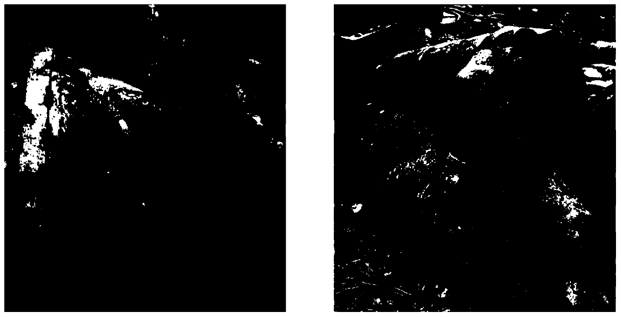 Asymmetric blasting method for dismantling milling coal hole sleeve