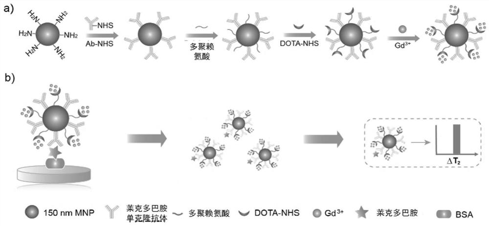 A Magnetic Relaxation Time Immunosensor Magnetic Signal Probe and Its Application