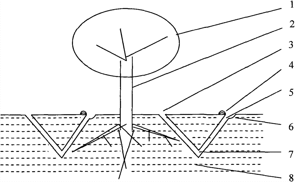 Method for freezing, thawing, loosening and ventilating deep soil in orchard