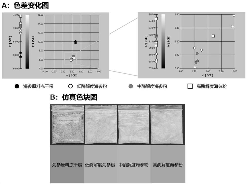 Deodorized and decolorized sea cucumber powder and preparation method thereof