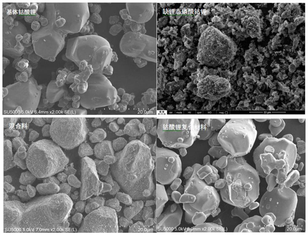 Lithium cobalt oxide composite material and preparation method thereof