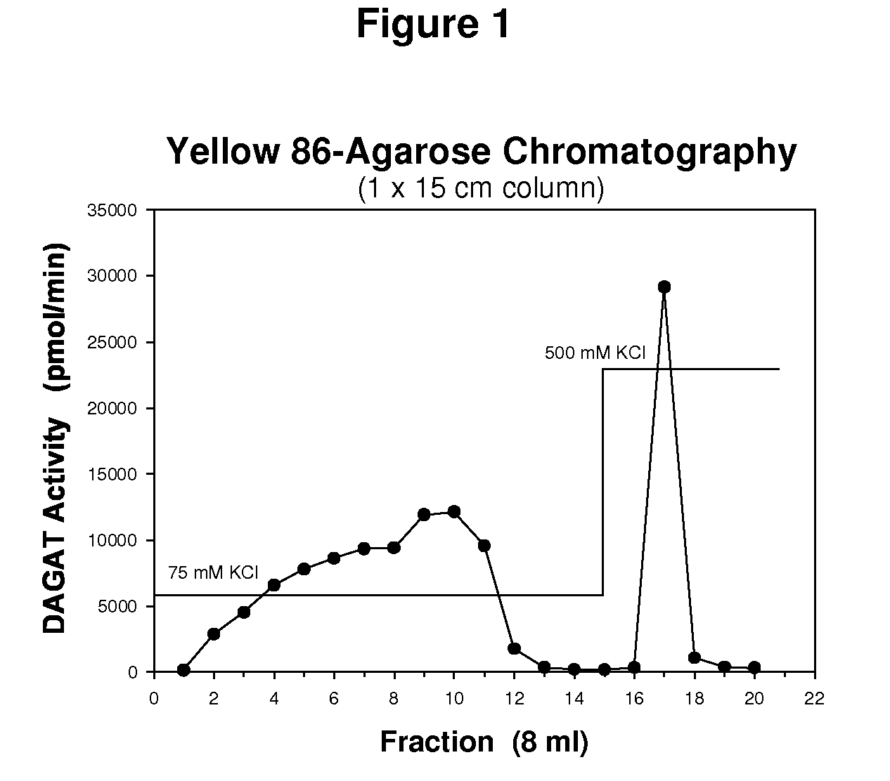 Diacylglycerol acyl transferase proteins