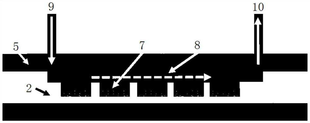 Micro-fluidic cell chip and virus isolated culture method based on same