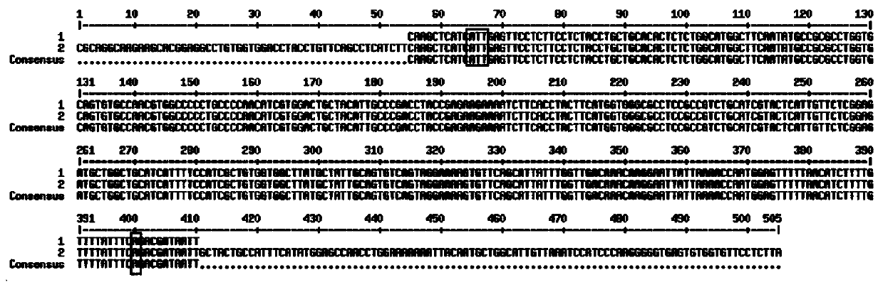 Method for detecting mutation of deafness susceptibility genes through combination of overlapping extension PCR and Sanger sequencing