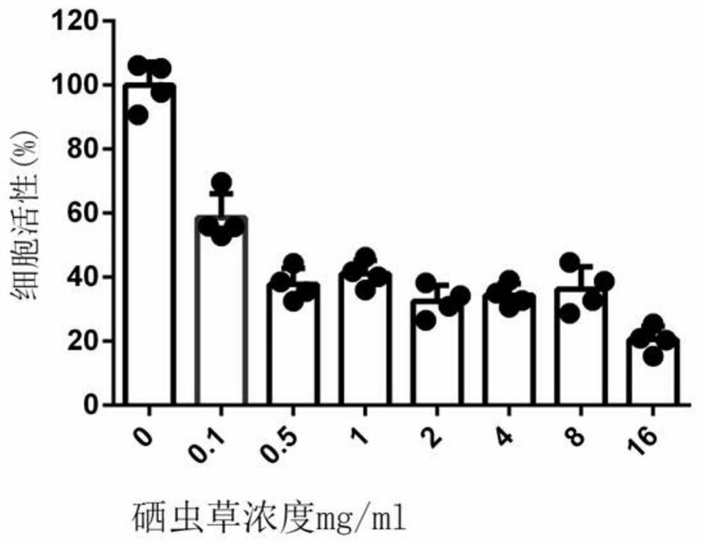 Ferroptosis inhibitor drug for activating cell GXP4 enzyme and application of ferroptosis inhibitor drug