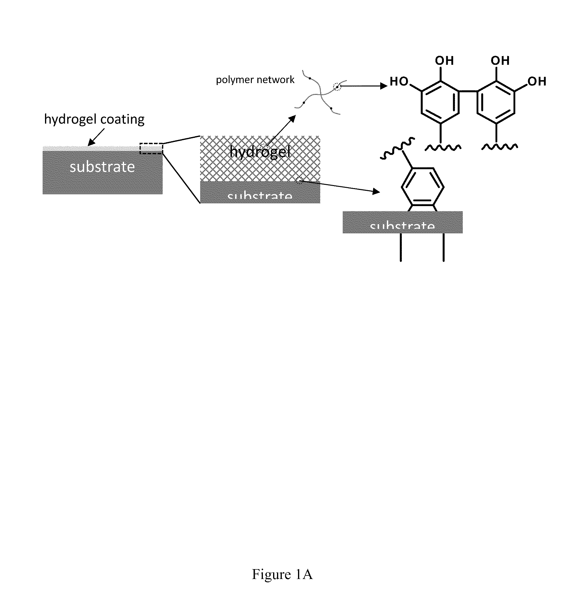 Antifouling hydrogels, coatings, and methods of synthesis and use thereof
