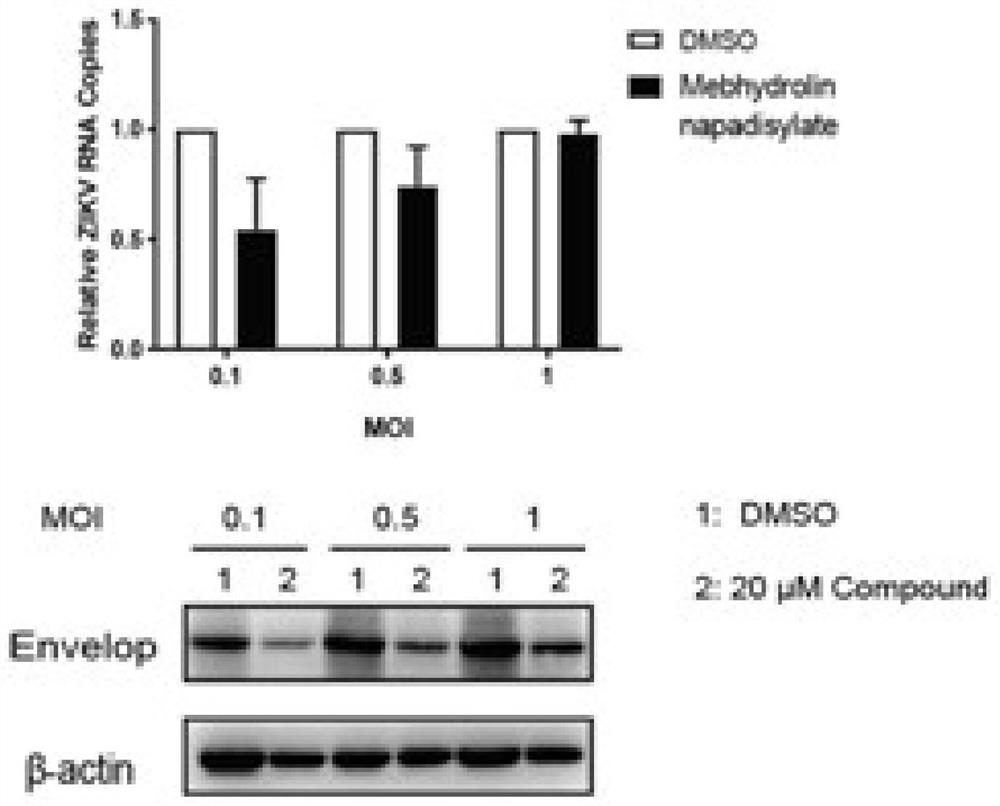 Application of histamine receptor inhibitors and derivatives thereof in the preparation of anti-Zika virus drugs