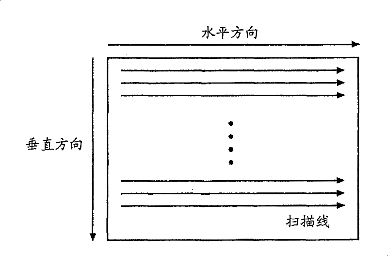 Motion Vector Detection Device