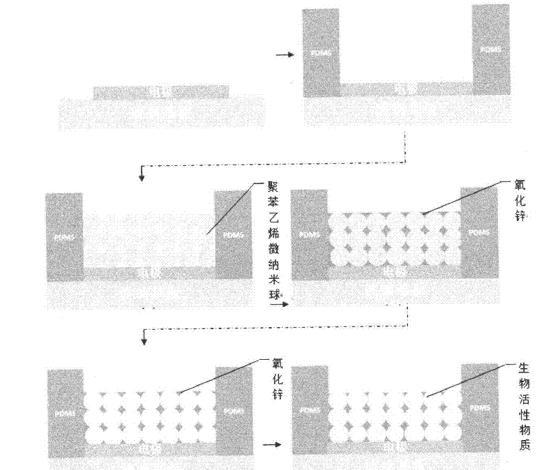 Porous biosensor and making and application methods