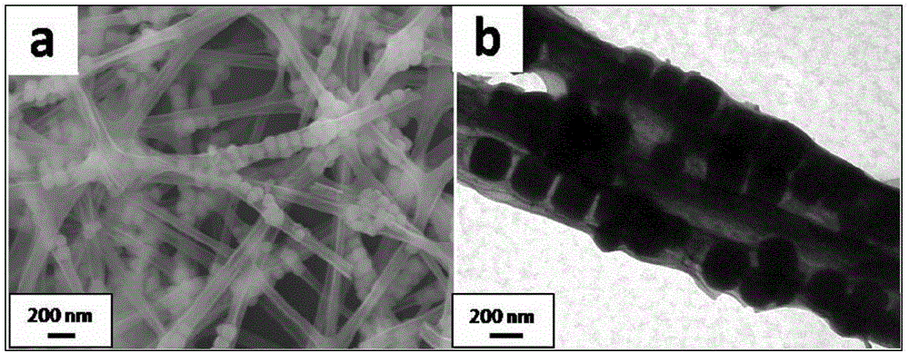 carbon backed tube cosno  <sub>3</sub> Granular structure material and its preparation method and application