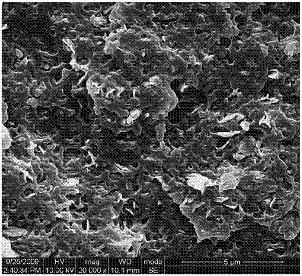 A kind of polyvinyl chloride toughened reinforced masterbatch and its preparation method and application