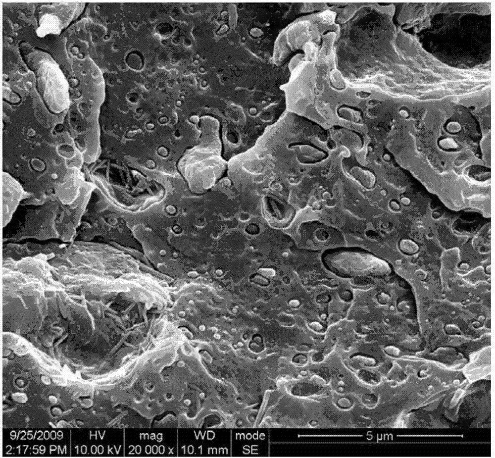 A kind of polyvinyl chloride toughened reinforced masterbatch and its preparation method and application