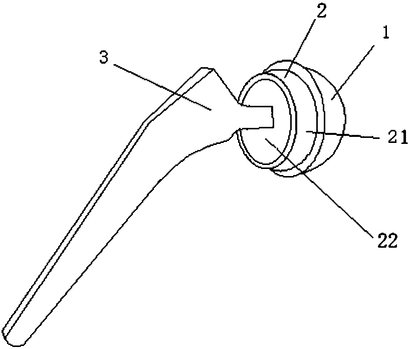 A kind of composite spherical head artificial hip joint