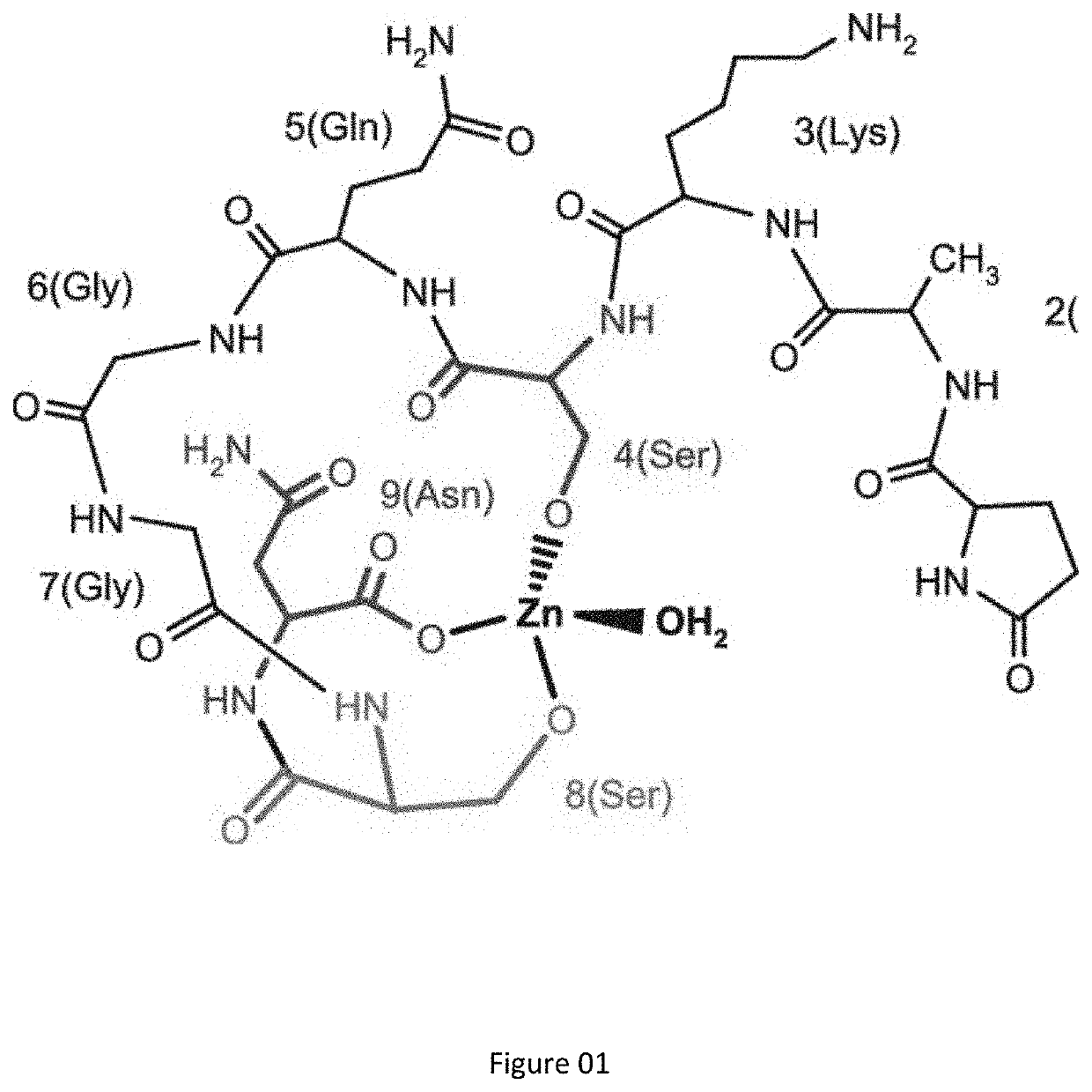 Zinc activated thymulin and methods of preparation and administration