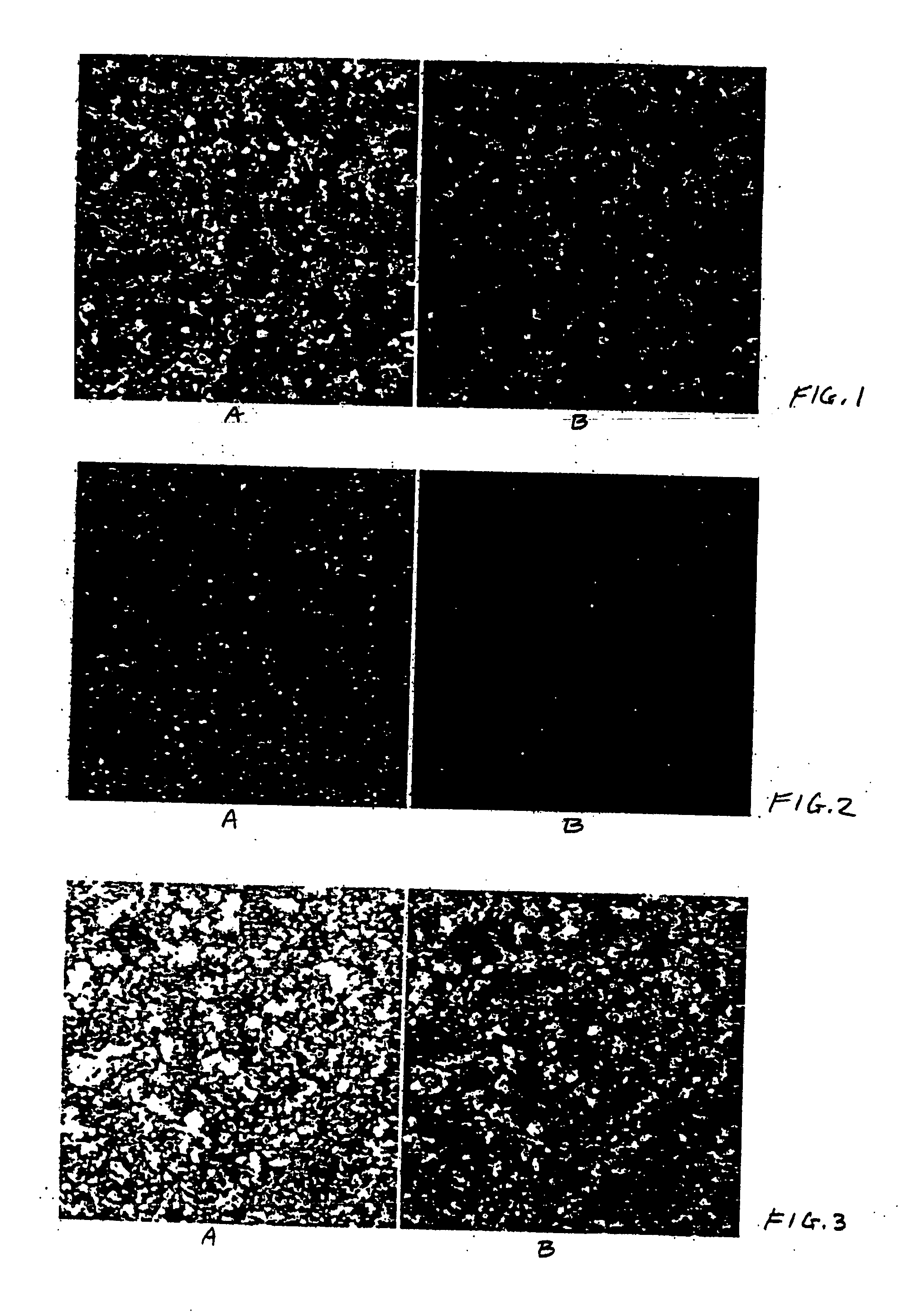 Methods, compositions, and kits for analysis of enzyme activity in cells