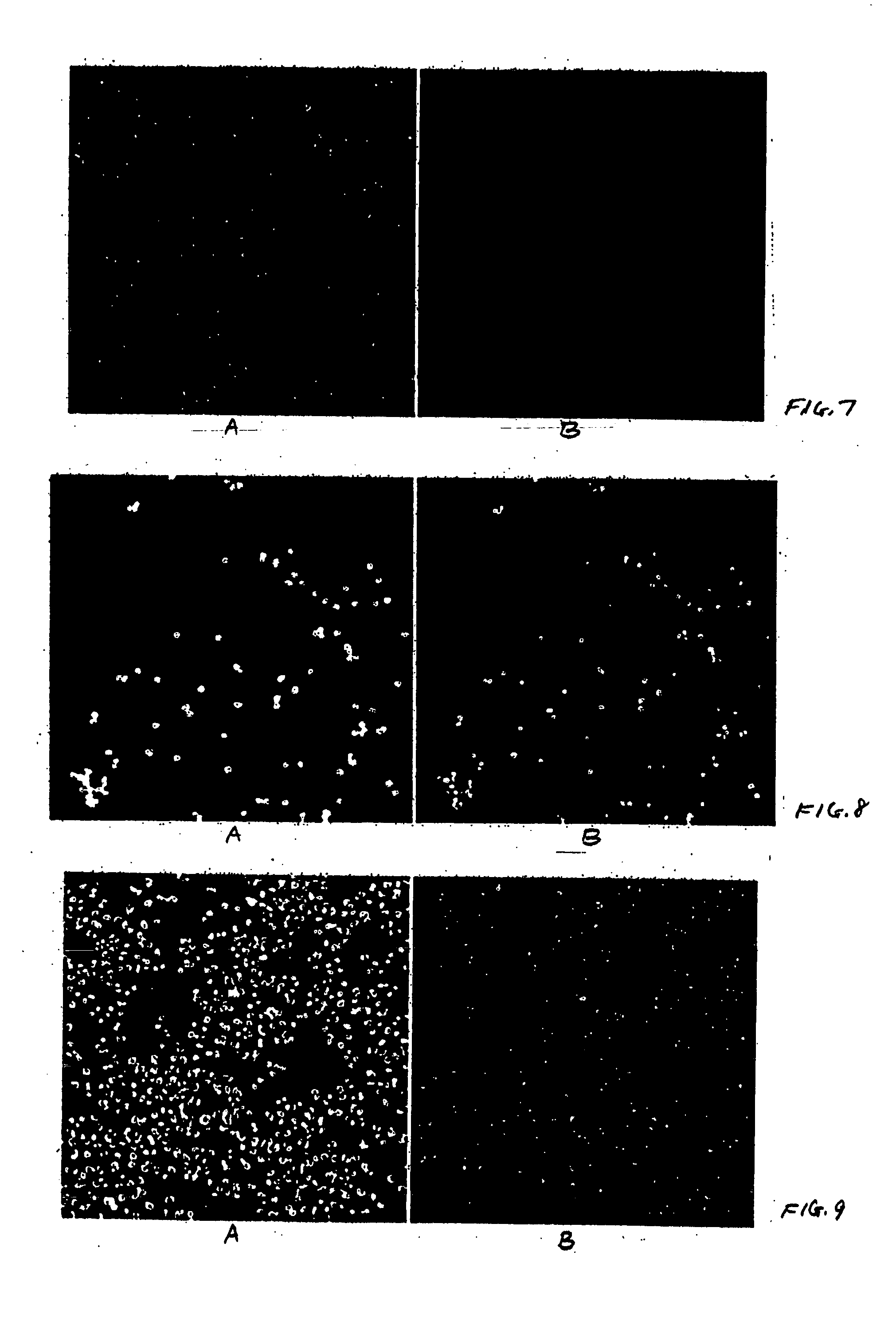 Methods, compositions, and kits for analysis of enzyme activity in cells