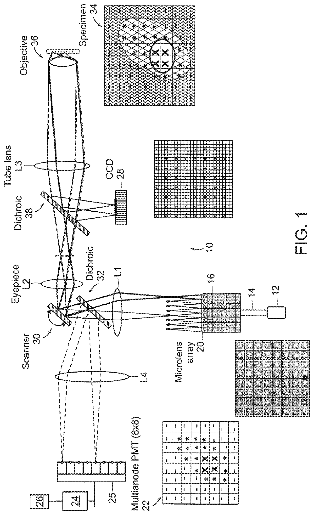 Multifocal imaging systems and method