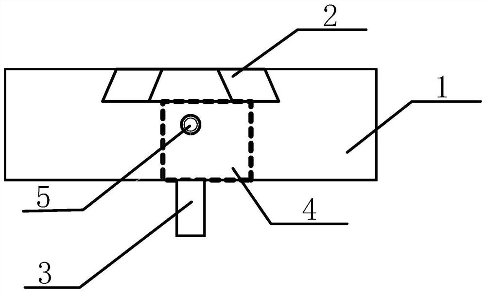 A dual-beam system sample stage for loading near-local electrodes