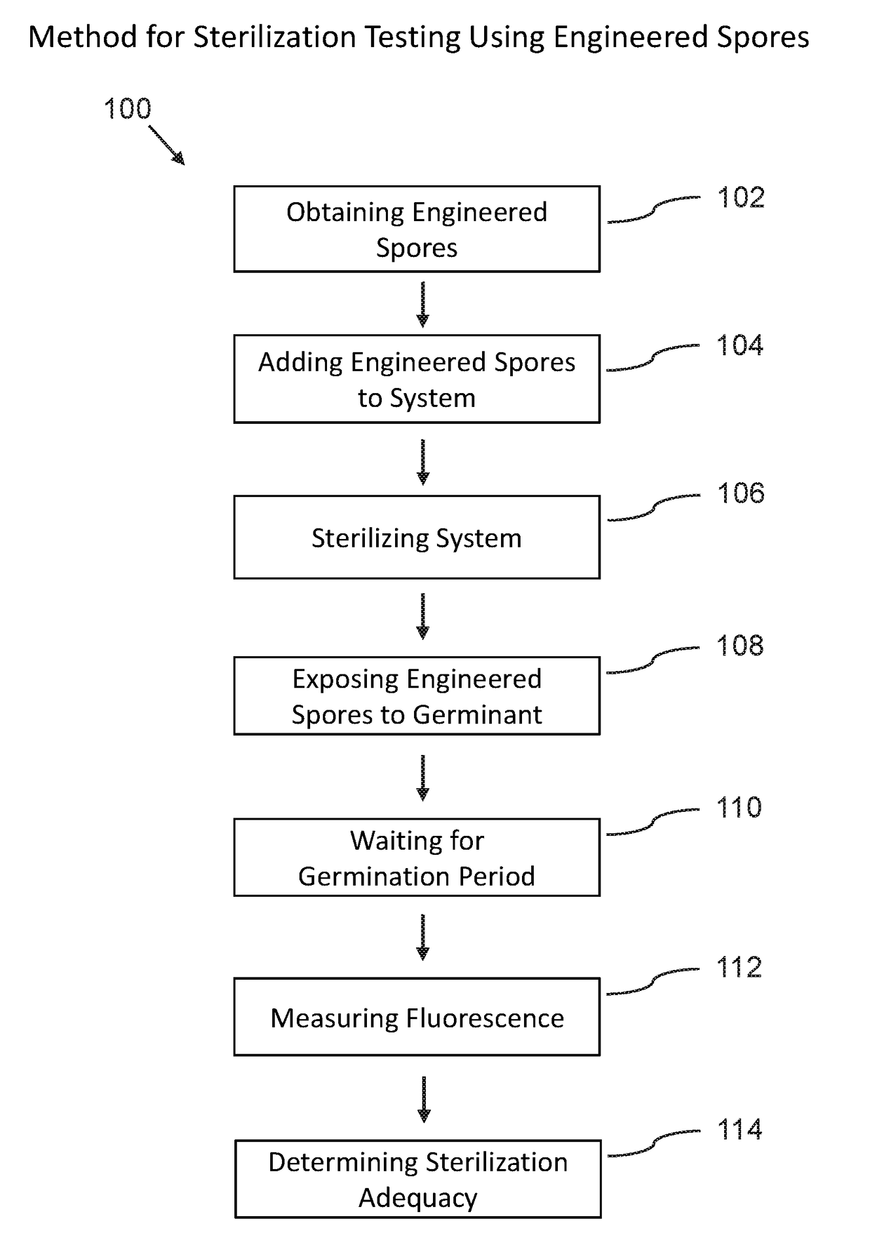 Phenotypic engineering of spores