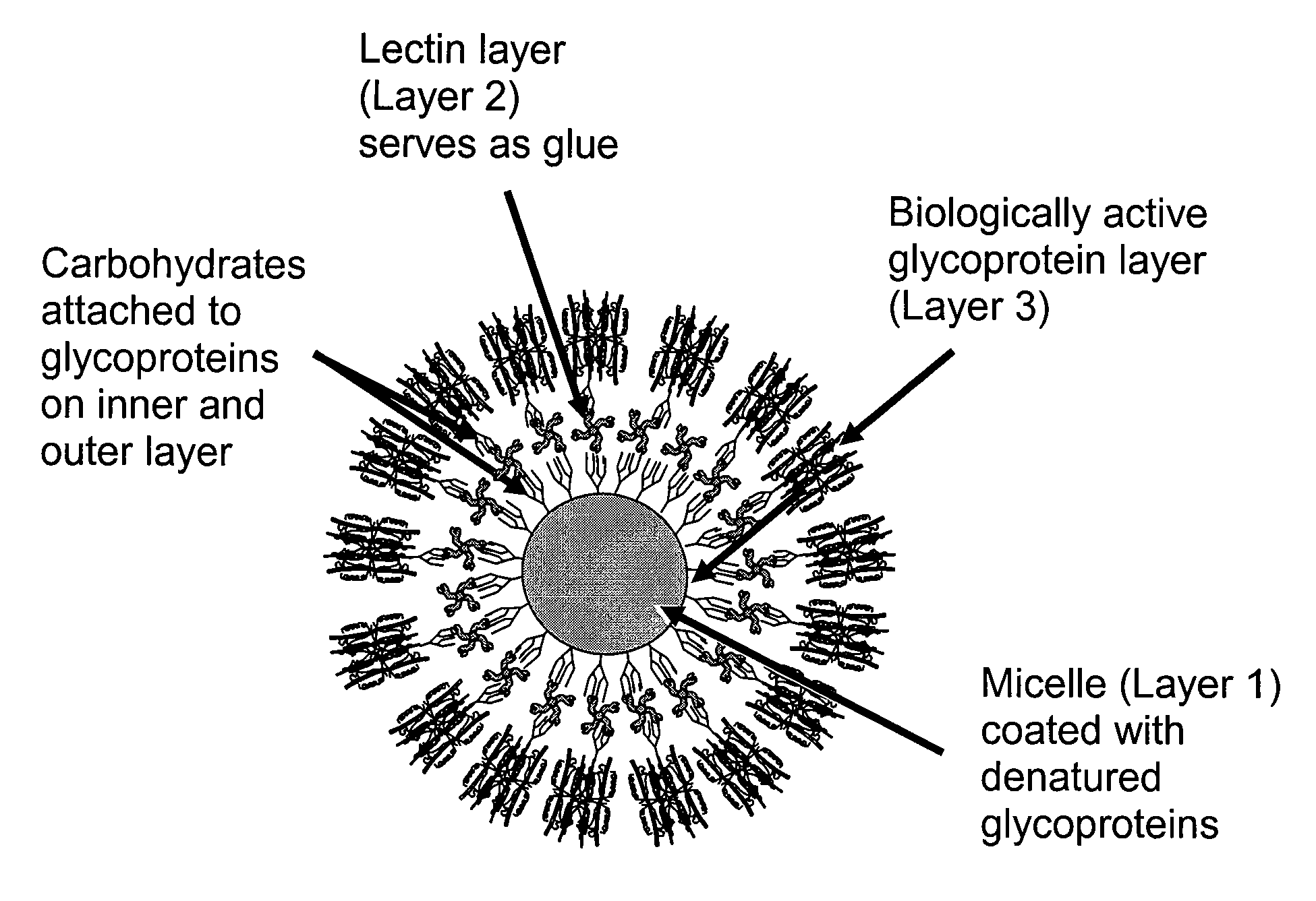 Glycoprotein Vesicles and Their Methods of Use