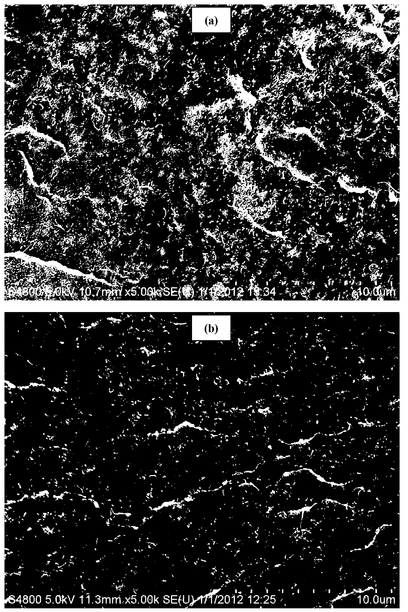 Polyvinylidene fluoride composite material and preparation method thereof