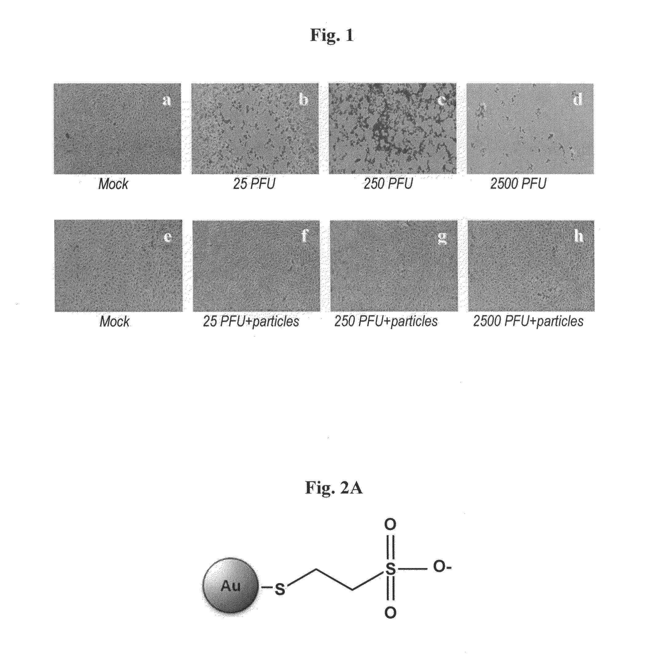 Pharmaceutical compositions comprising water-soluble sulfonate-protected nanoparticles and uses thereof