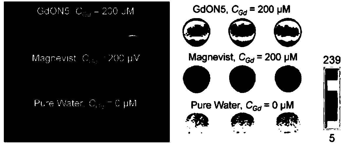 Nanoparticle magnetic resonance imaging contrast agent containing gadolinium oxide as well as preparation method and application thereof