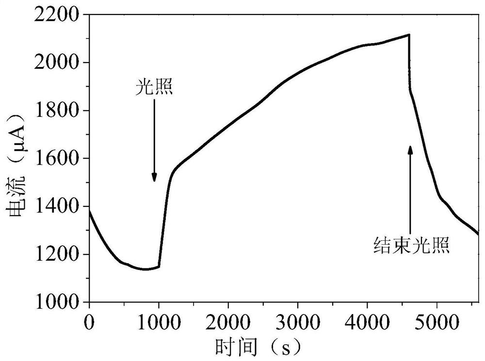 A method for treating ammonia nitrogen pollutants in water by activating sulfite with sulfide photoanode