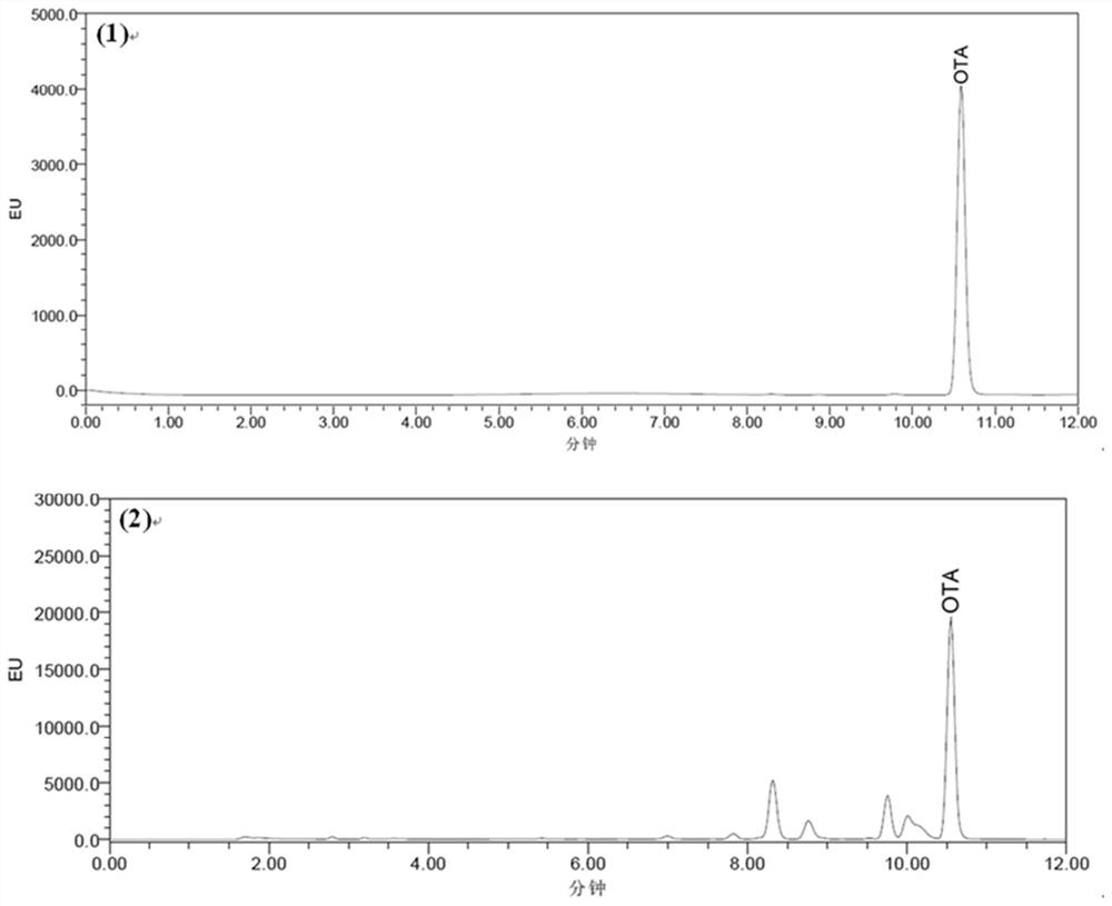 A simultaneous detection kit for fungi producing aflatoxin, ochratoxin and patulin